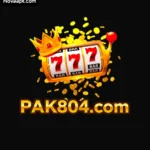 PAK804 Game